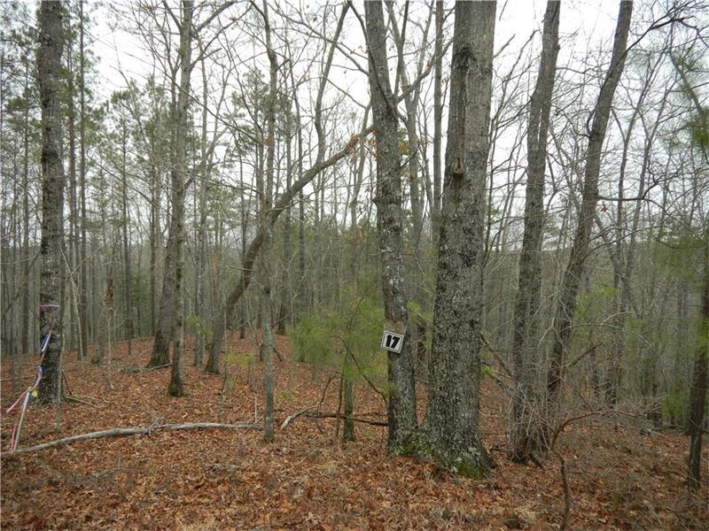 lot 17 Turtle Ridge - Photo 1