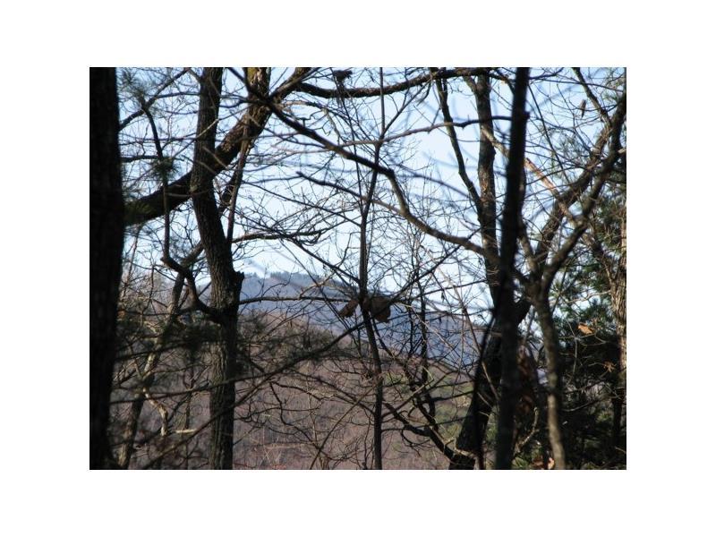 0 Hound Dog Lane, Dahlonega, GA 30533 (MLS #5667568) :: North Atlanta Home Team