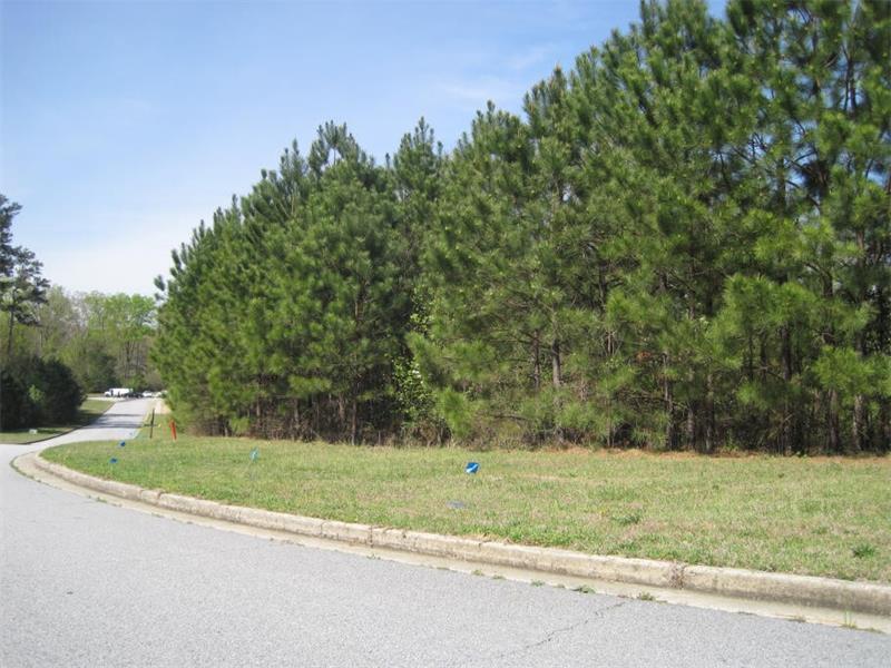4001 James Lake Drive, Conley, GA 30288 (MLS #5669759) :: North Atlanta Home Team