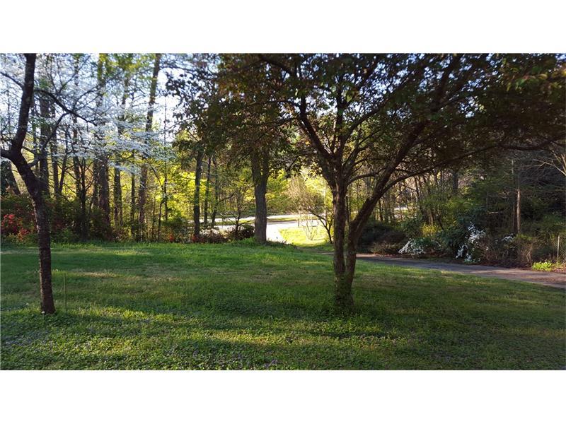 1310 Piedmont Road - Photo 1