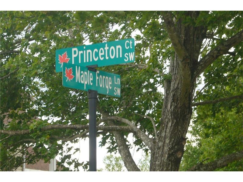 3778 Princeton Court SW, Gainesville, GA 30504 (MLS #5671790) :: North Atlanta Home Team