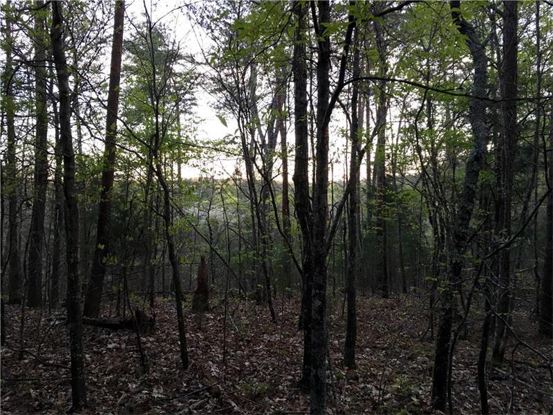 Tract5 Government Farm Road, Rockmart, GA 30153 (MLS #5672034) :: North Atlanta Home Team