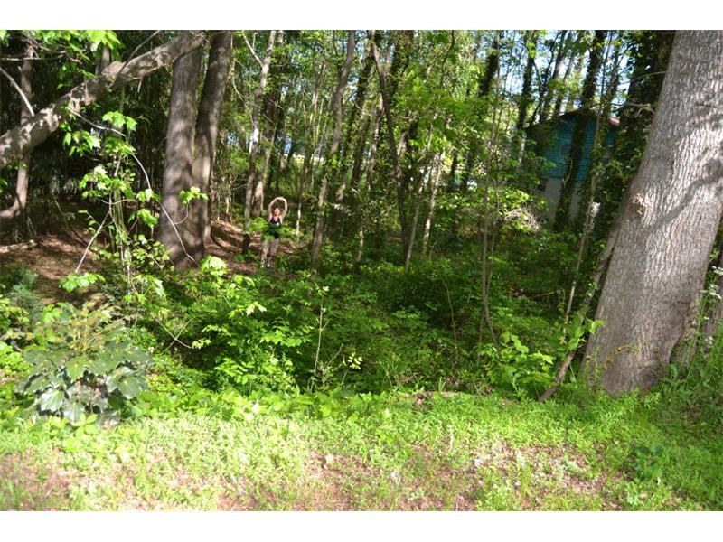 0 Cary Drive, Snellville, GA 30039 (MLS #5679365) :: North Atlanta Home Team