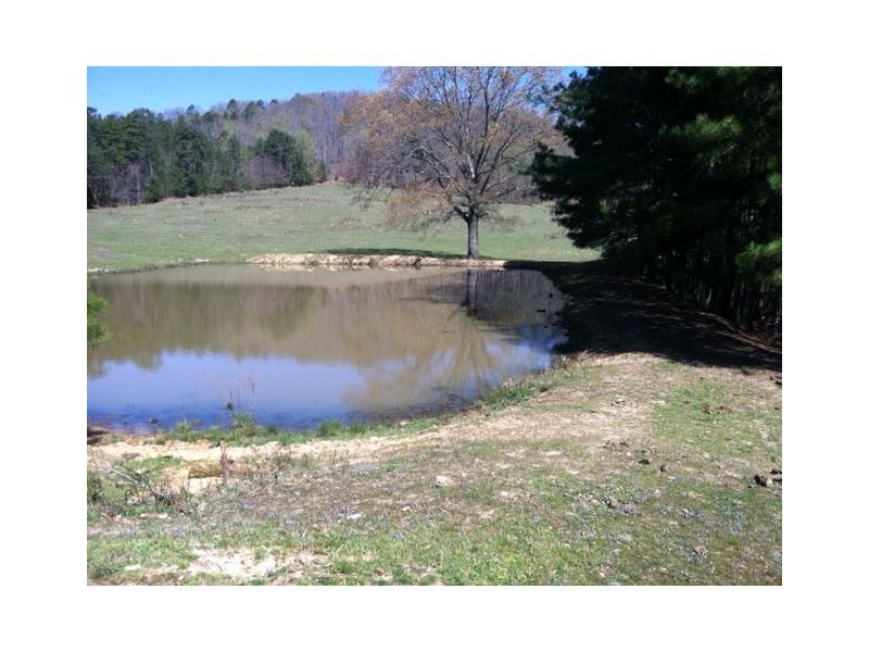 1598 Sixth Street Road - Photo 1