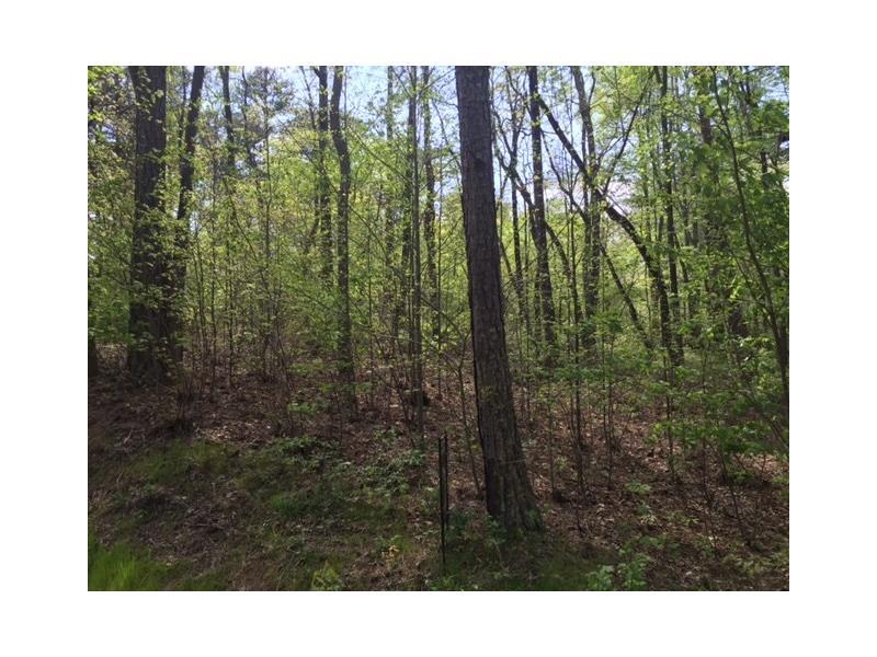 2.79ac Indian Forest Road - Photo 1