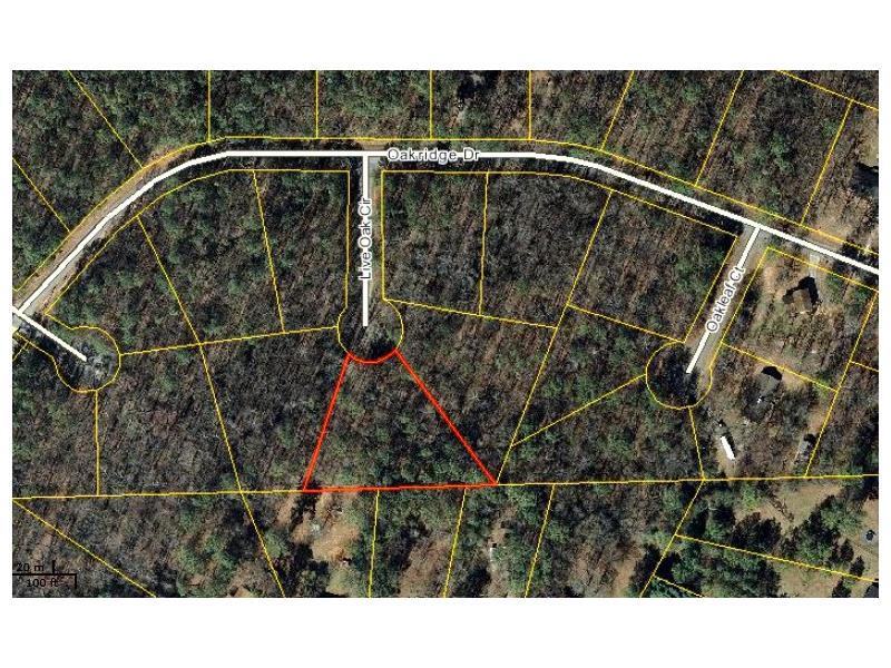 40 Live Oak Circle - Photo 1