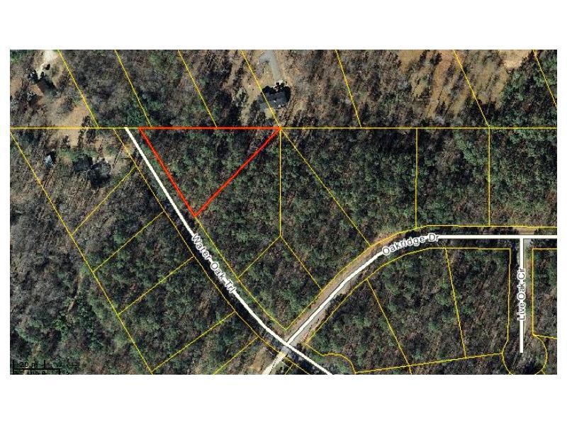 70 Water Oak Trail - Photo 1