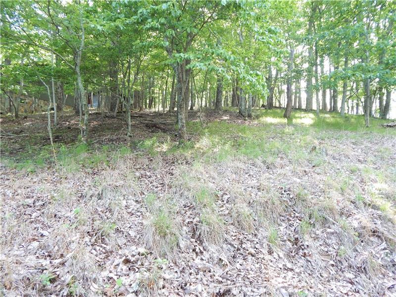 2958 Mole Mountain Court - Photo 1