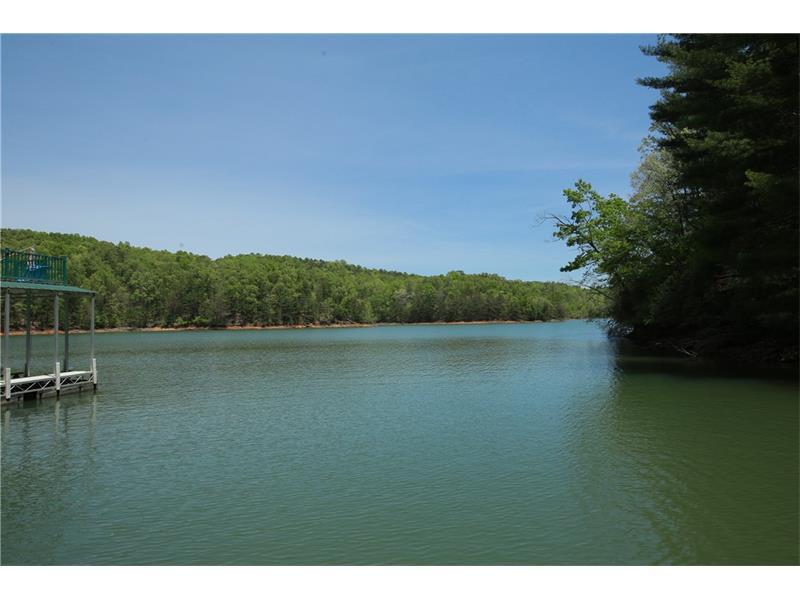 168 Osprey Drive, Blairsville, GA 30512 (MLS #5687116) :: North Atlanta Home Team