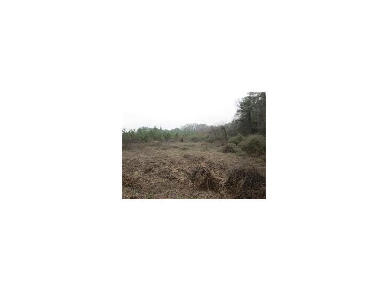 1411 Bells Ferry Road - Photo 1