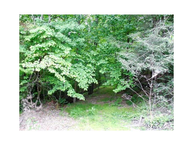 LOT 42 Riverbend - Photo 1