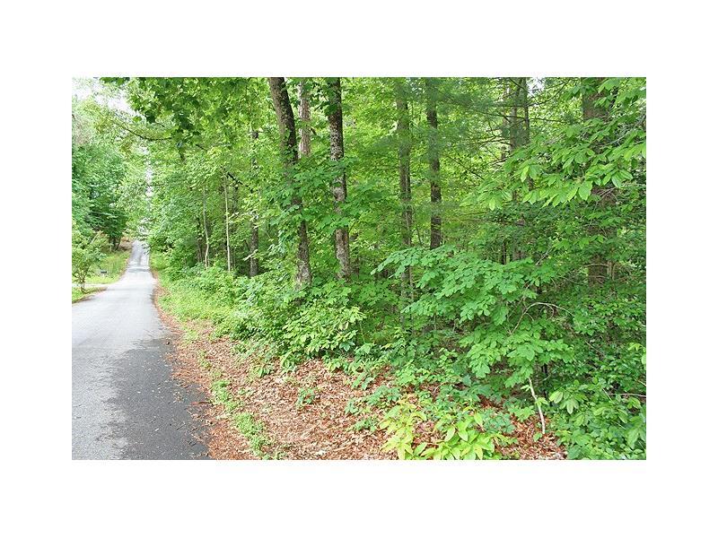 1A1ac Clyde Barrett Road, Dahlonega, GA 30533 (MLS #5693121) :: North Atlanta Home Team