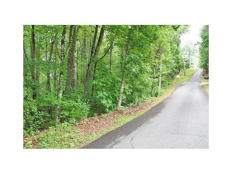 1Bac Clyde Barrett Road, Dahlonega, GA 30533 (MLS #5693198) :: North Atlanta Home Team