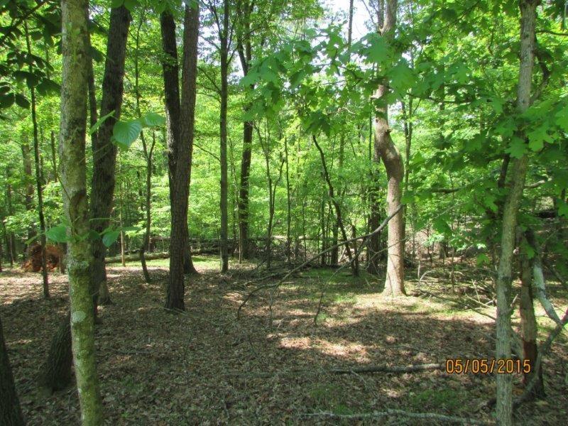Lt 477 Water Oak Drive, Ellijay, GA 30540 (MLS #5695537) :: North Atlanta Home Team