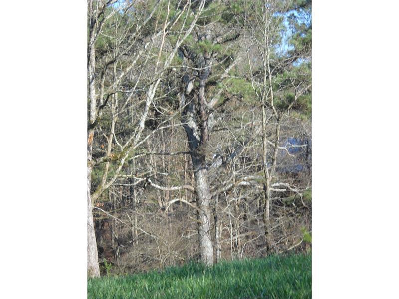 001 Pleasant Gap Road - Photo 1