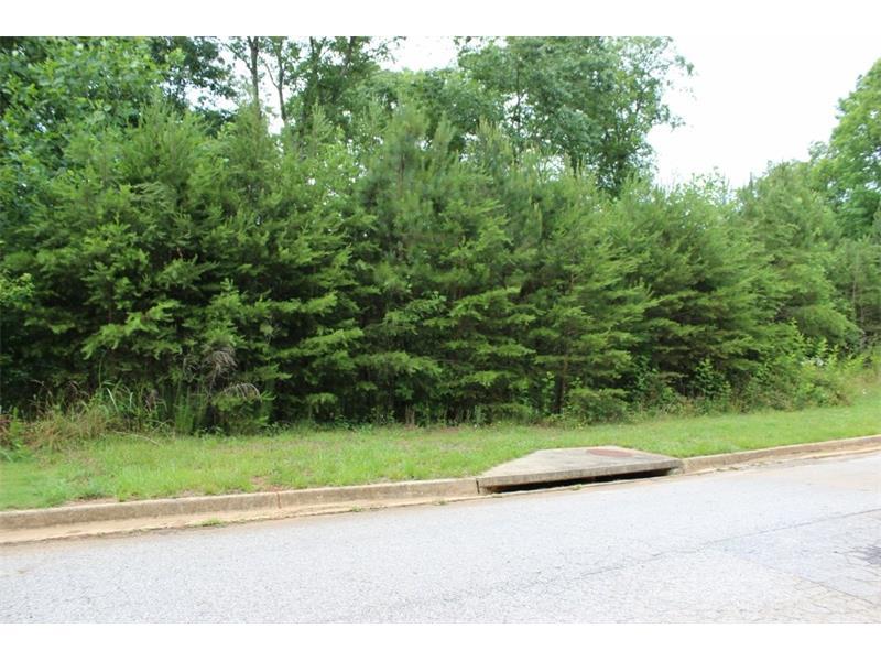 137 Black Oak Lane - Photo 1