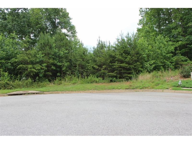 149 Black Oak Lane - Photo 1