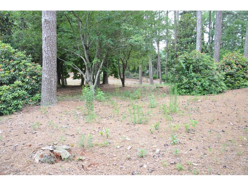 2454 Marneil Drive - Photo 1