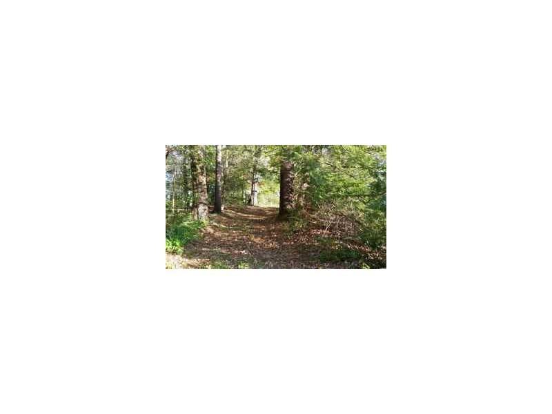 550 N Hist Hwy 441, Demorest, GA 30535 (MLS #5703960) :: North Atlanta Home Team