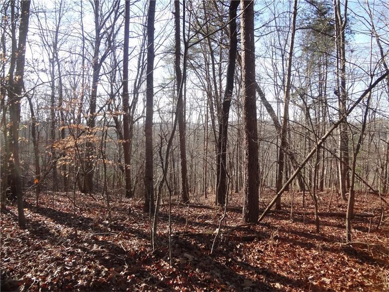 0 Stoney Creek Terrace - Photo 1