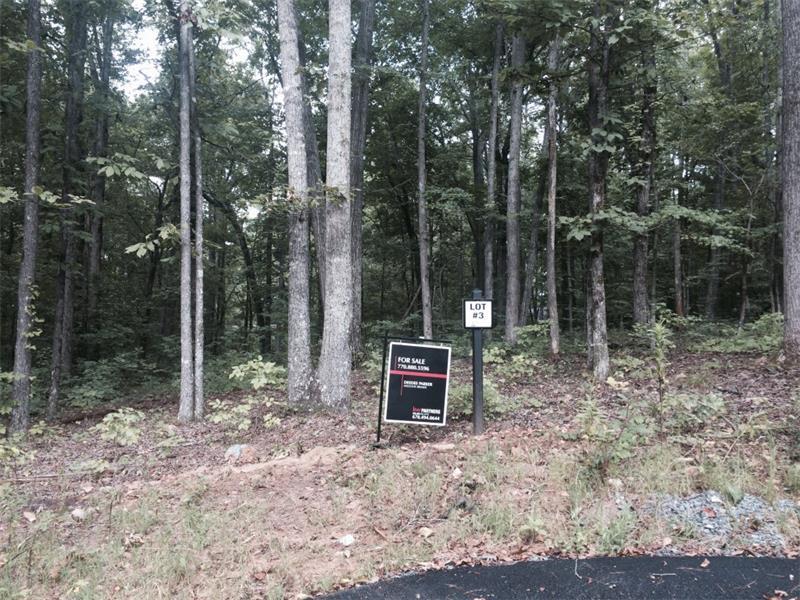 173 Sardis Creek Drive, Canton, GA 30114 (MLS #5705072) :: North Atlanta Home Team