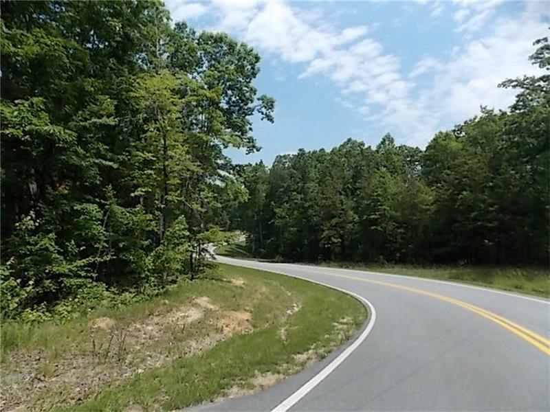 00 Brushy Mountain Road - Photo 1