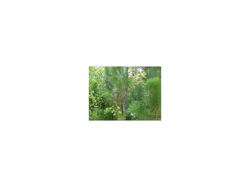 133 Pennsylvania Avenue - Photo 1