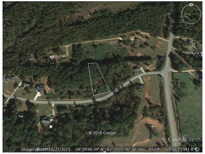 104 Tabitha Page Lane, Toccoa, GA 30577 (MLS #5710346) :: North Atlanta Home Team