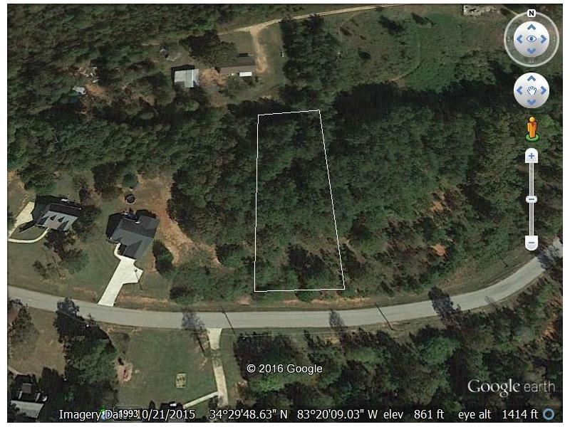 6 Tabitha Page Lane, Toccoa, GA 30577 (MLS #5710658) :: North Atlanta Home Team