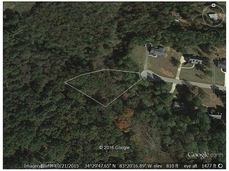 13 Tabitha Page, Toccoa, GA 30577 (MLS #5710665) :: North Atlanta Home Team