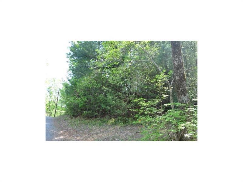 20P Laurel Branch - Photo 1
