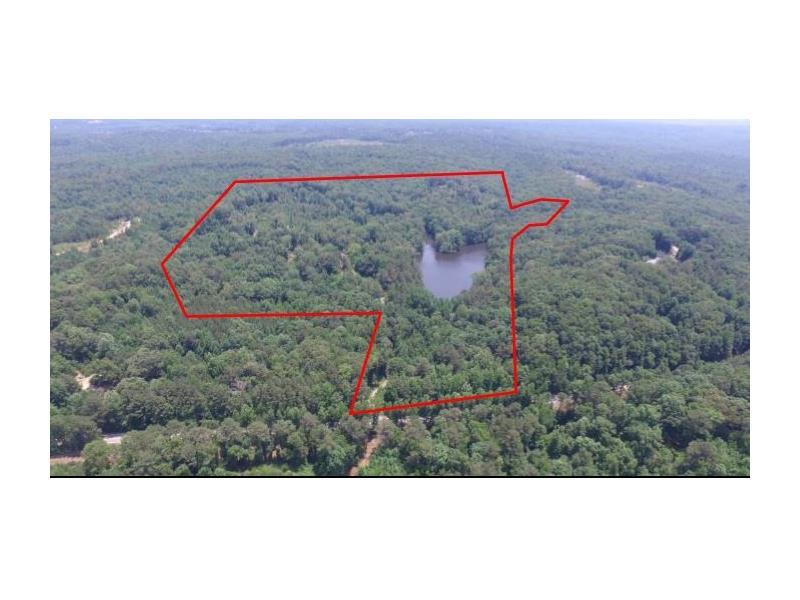 0 Cascade Palmetto Highway - Photo 1