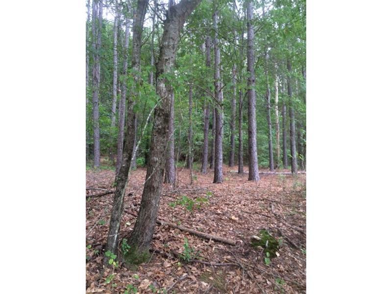 0 E Freeman Street, Maysville, GA 30558 (MLS #5716461) :: North Atlanta Home Team