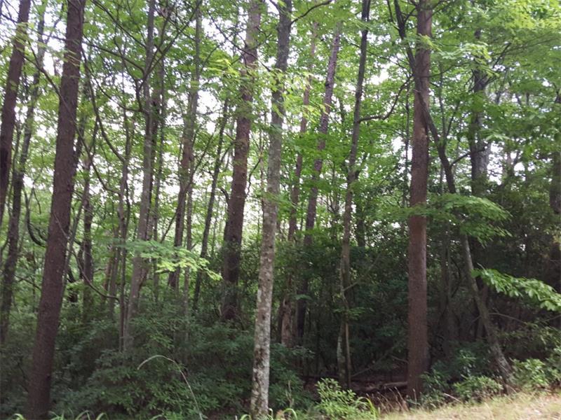 129 Cherokee Drive - Photo 1