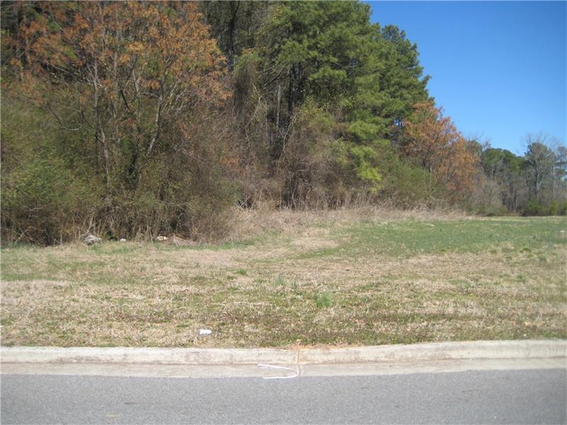 456 Waterford Drive, Cartersville, GA 30120 (MLS #5717867) :: North Atlanta Home Team