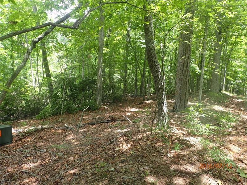 6123 Fire Pink Lane - Photo 1