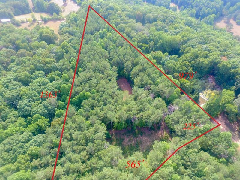 620 Old Hornage Road, Ball Ground, GA 30107 (MLS #5719786) :: North Atlanta Home Team
