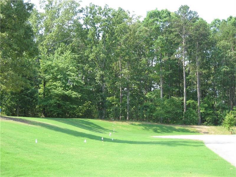 48 Branson Mill Drive - Photo 1