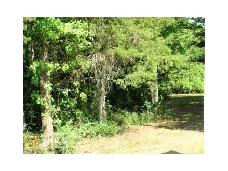 0 Arch Tanner Road, Bethlehem, GA 30620 (MLS #5727979) :: North Atlanta Home Team