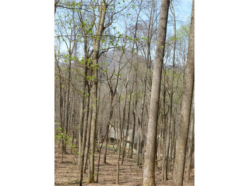 0 Walnut Trail - Photo 1