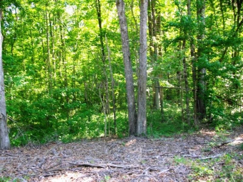 1188 Sweetwater Juno Road, Dawsonville, GA 30534 (MLS #5728970) :: North Atlanta Home Team