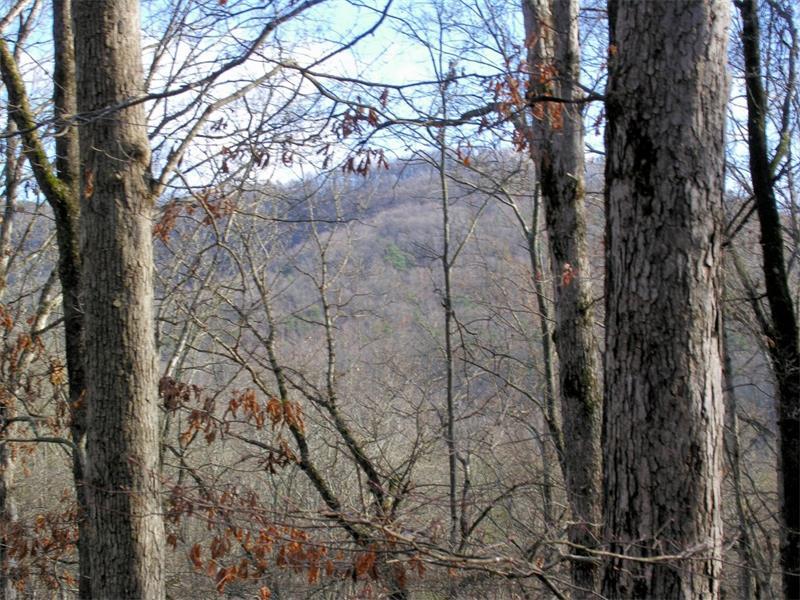 0 Lumpkin View Drive - Photo 1