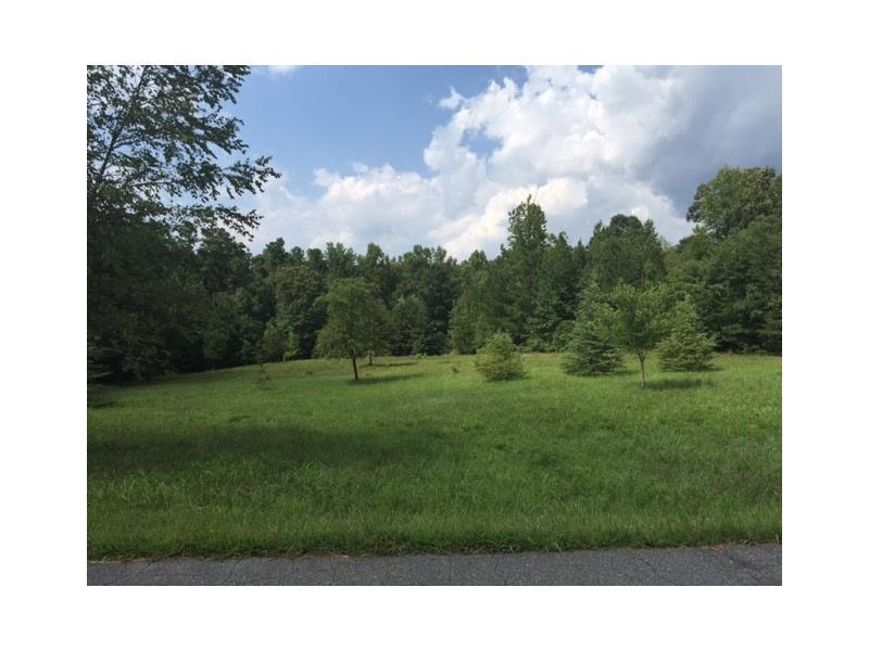0 Elwin Ragsdale Way - Photo 1