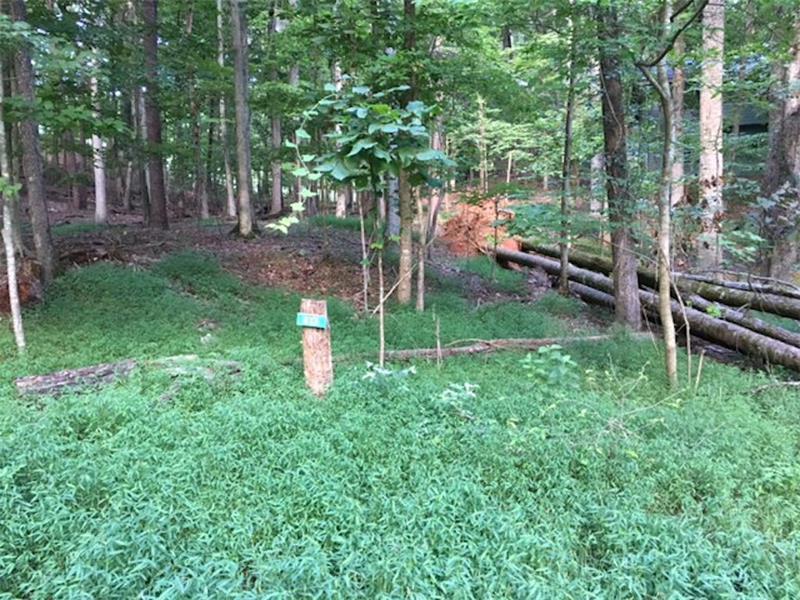 832 Duffer Drive - Photo 1