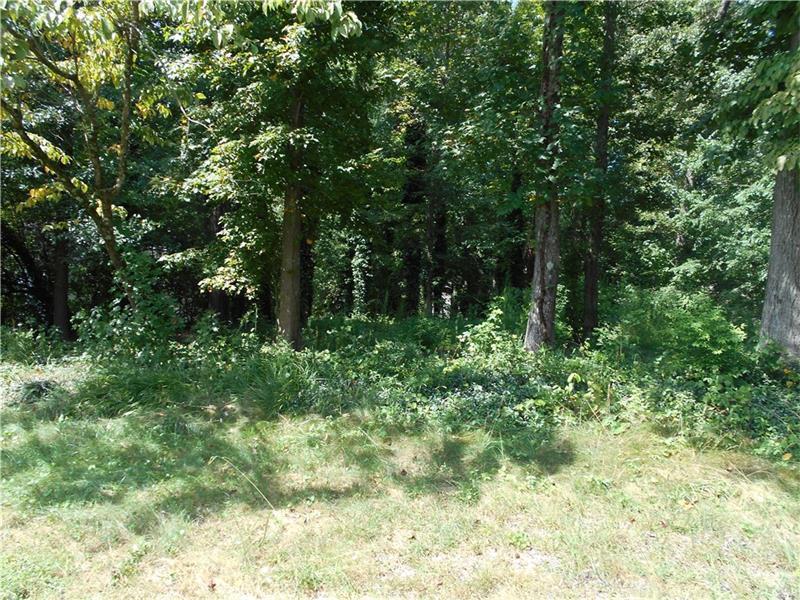 1053 Chestnut Hill Circle - Photo 1