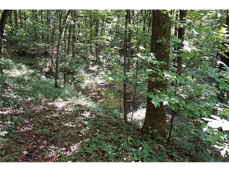 616 High Cliff Road - Photo 1