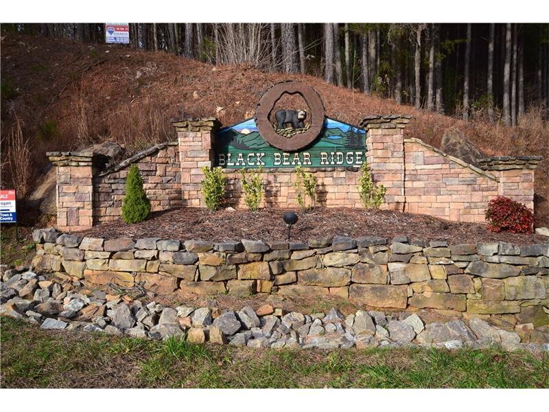 Lot 27 Black Bear Ridge Road - Photo 1