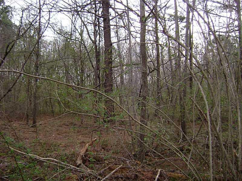1135 Sanders Road - Photo 1