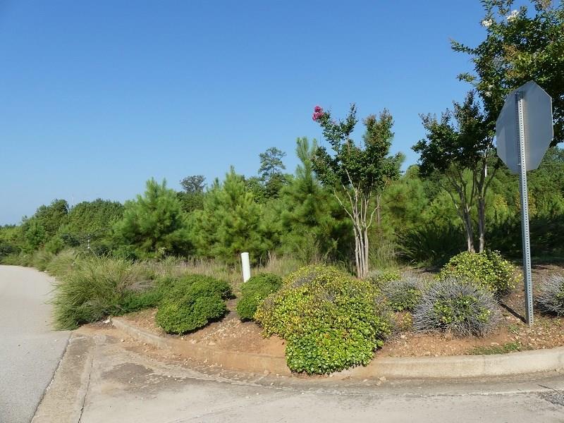 000 Highland Pavilion Way - Photo 1