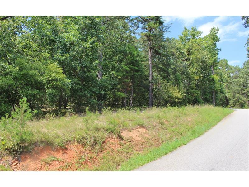 49 Pirkle Leake Road, Dawsonville, GA 30534 (MLS #5742549) :: North Atlanta Home Team